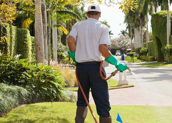 About Central Falls RI Pest Control Pros
